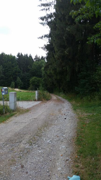 Waldgasthof - Hotel Schiederhof Wiesenfelden Kültér fotó